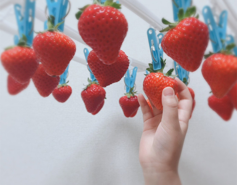 コロナ禍の春はおうちでいちご狩り！親子で作る簡単レシピも