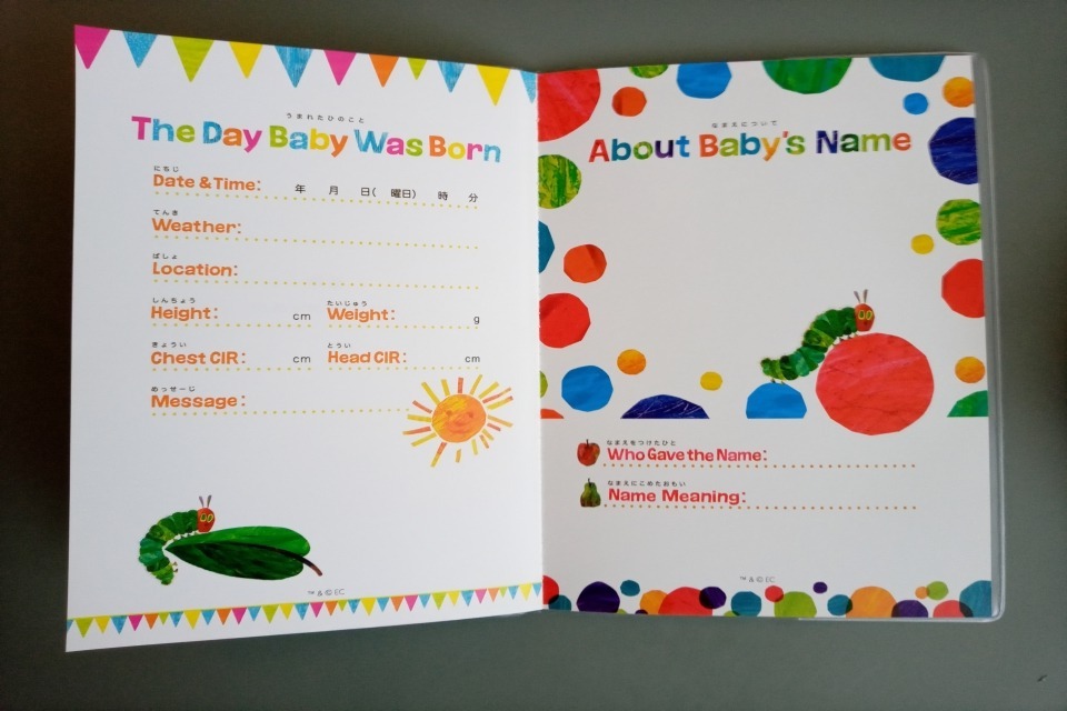 思い出の写真はデータで残す？形に残す？