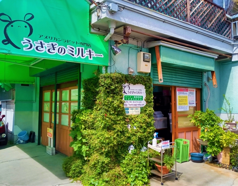 正面