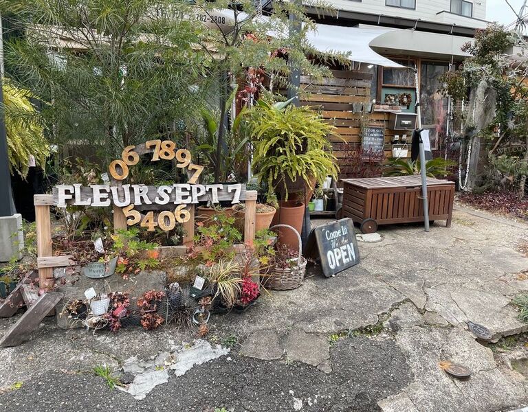 fleursept