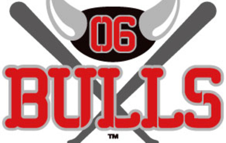 06BULLS球団ロゴ