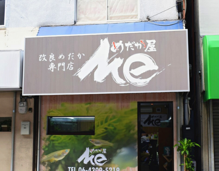 名称未設定のデザイン