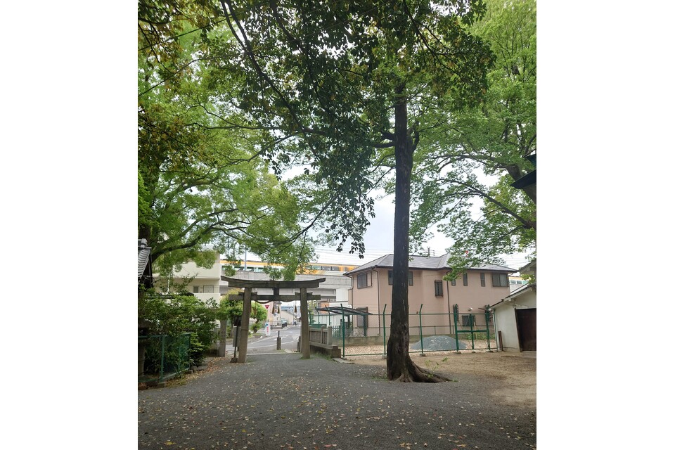 石田神社境内から見た風景