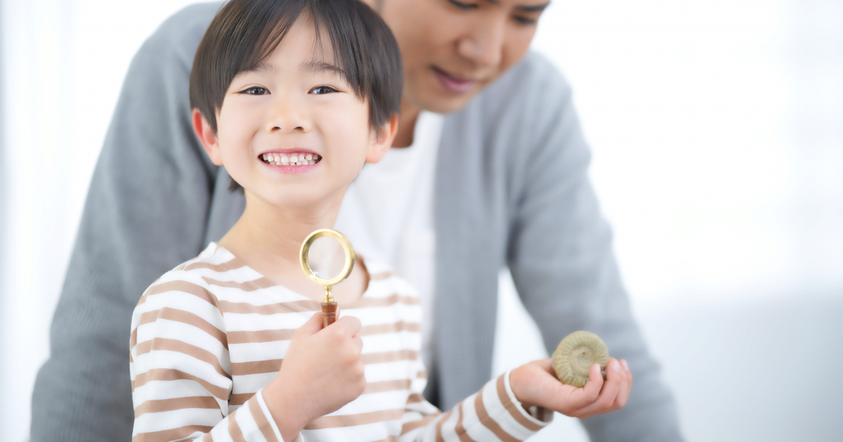 カタツムリを飼う前に考慮すべきこと