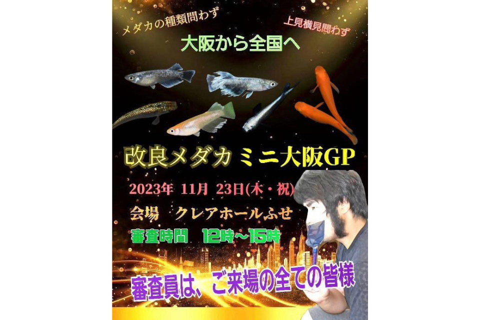 11/23(木・祝)開催！改良めだか即売会「もみあげフェス外伝ぼよ