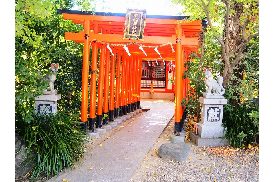 鳥居が続く