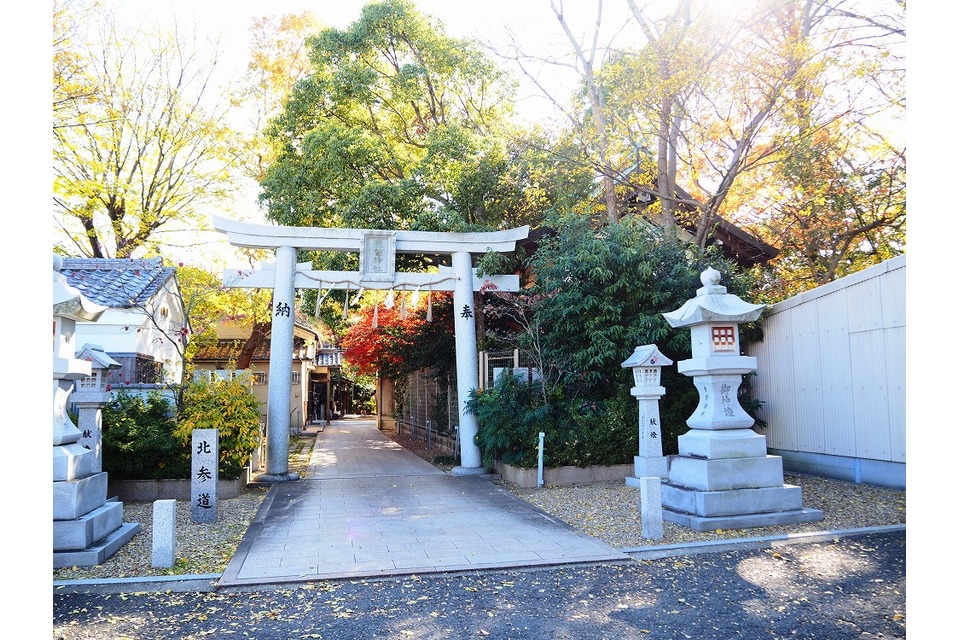 鳥居を遠目から