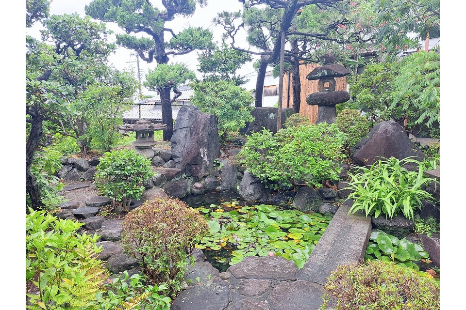 庭