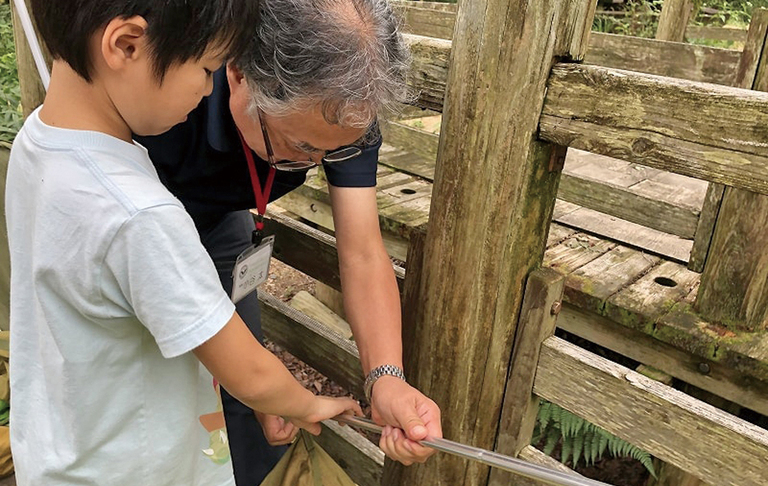 キャンプビギナーズプラン