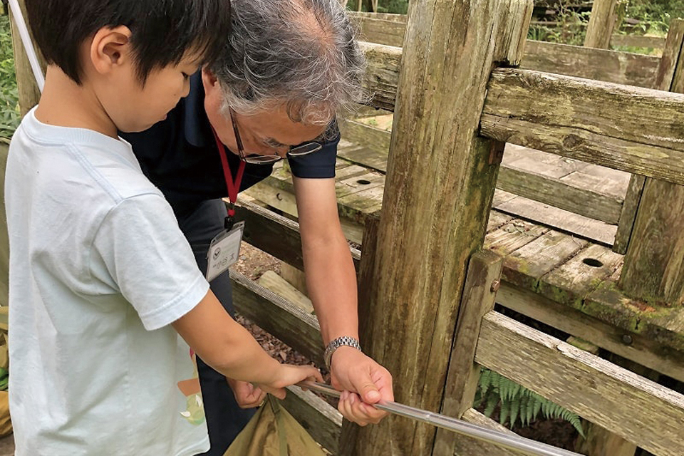 キャンプビギナーズプラン