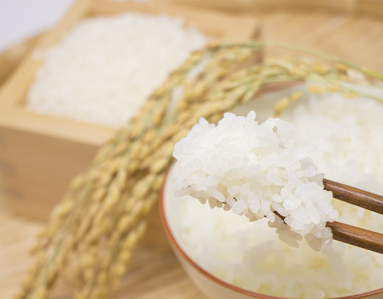 新米をおいしく炊く3つのポイント＆最新の炊飯器の選び方