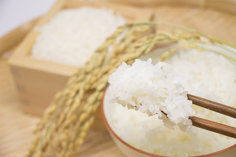 新米をおいしく炊く3つのポイント＆最新の炊飯器の選び方