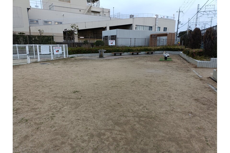 広場