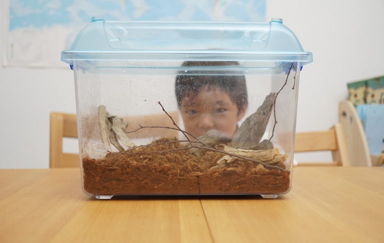 男の子と虫かご