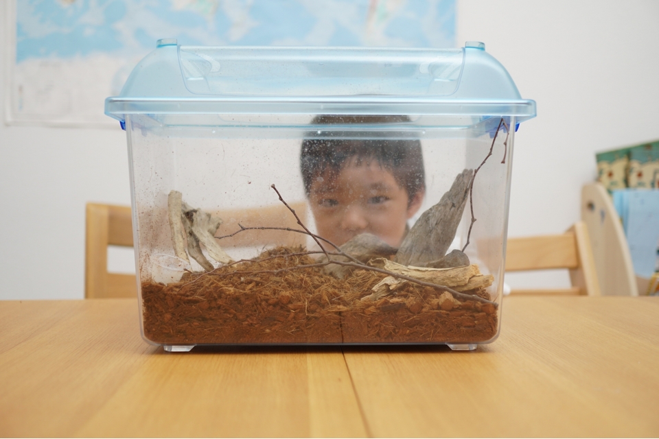 男の子と虫かご