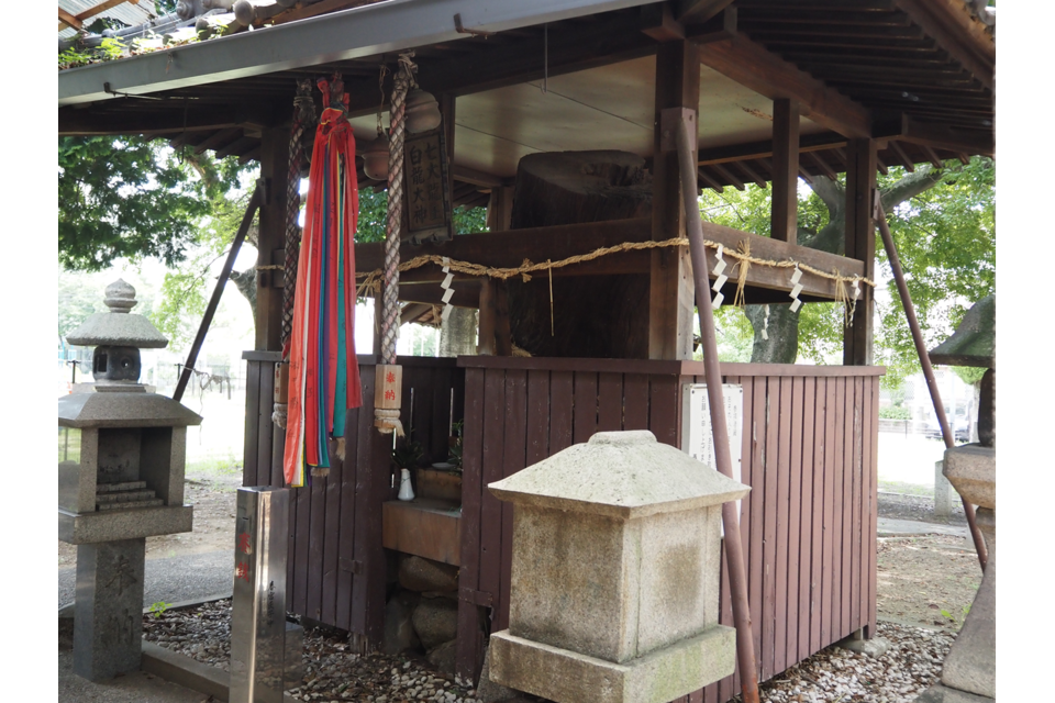 御神木の切り株