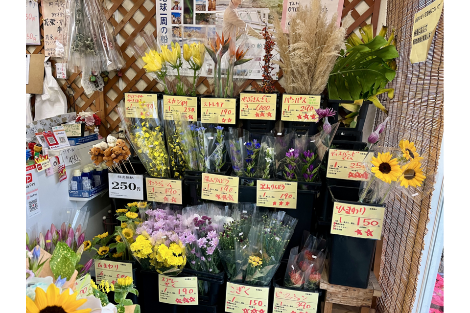 星マークが付いた花