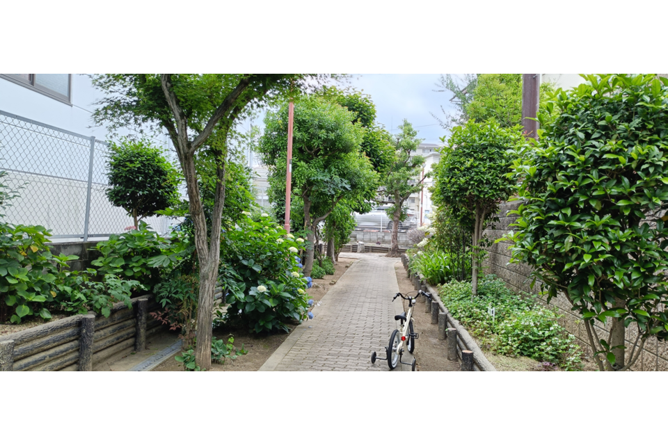 新堀触れ合い通り