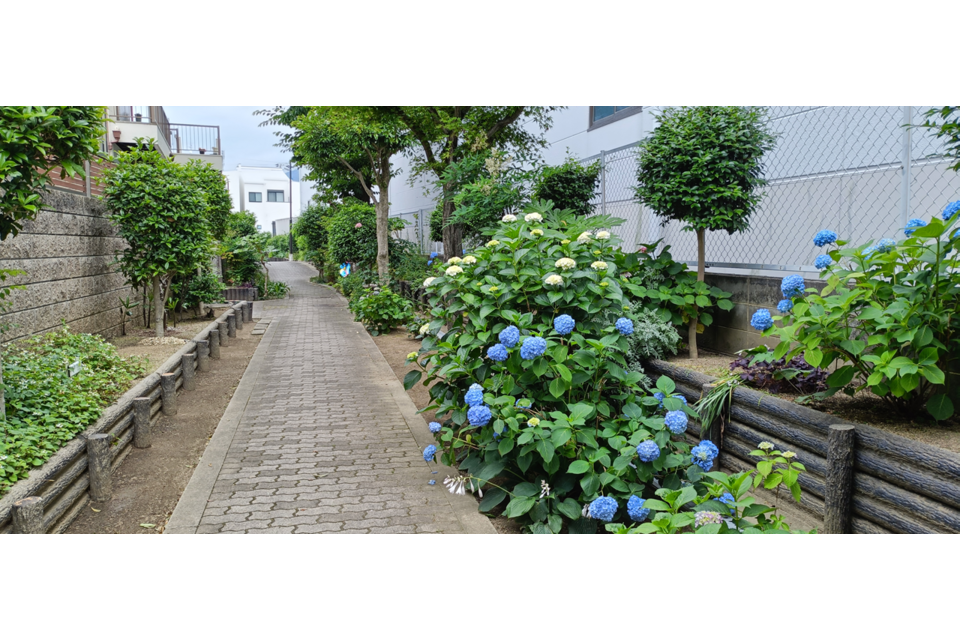 手入れされた街道